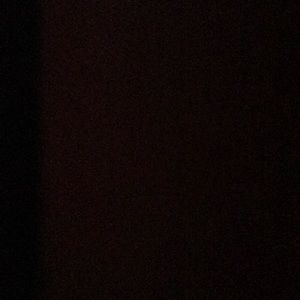 Meet your Posher, Bella